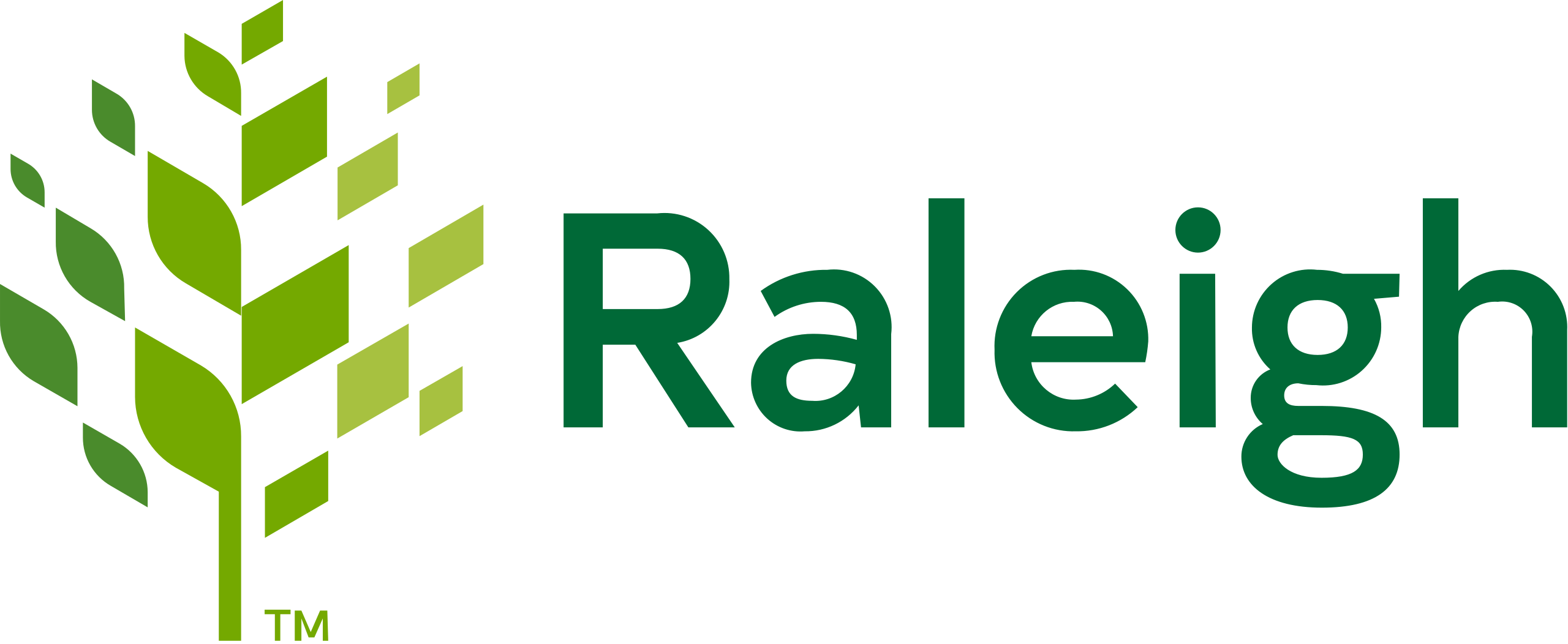 City of Raleigh Logo